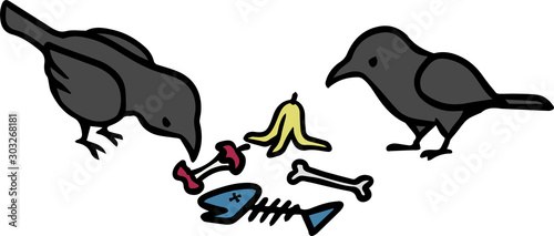 生ごみをつつくカラス