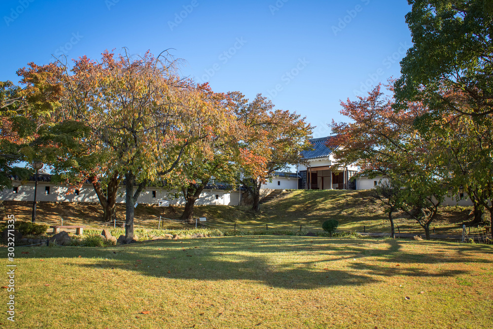 京都、長岡京市の勝龍寺城内の秋景色
