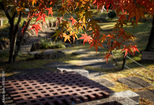京都、長岡京市にある勝龍寺城内にある本丸の井戸と紅葉