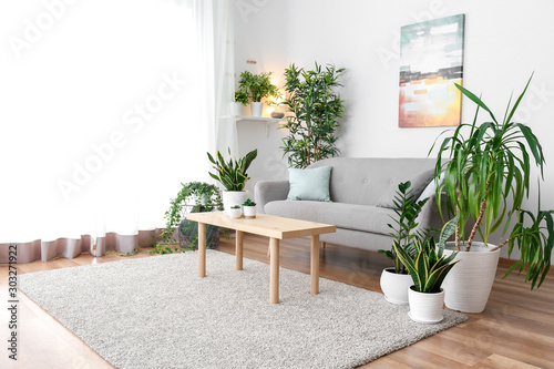 Stylish interior of living room with green houseplants