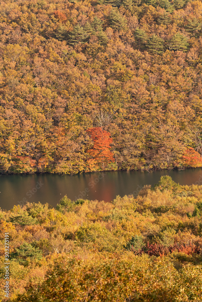 岩手県八幡平　アスピーテラインで見る紅葉の景色