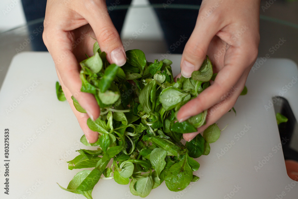 female hands wrinkled lettuce leaves. spinach. healthy eating