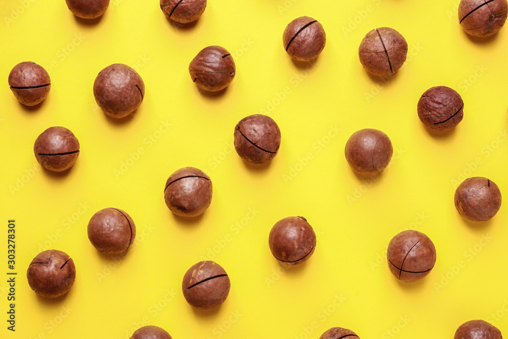 Tasty macadamia nuts on color background Tasty macadamia nuts on color background