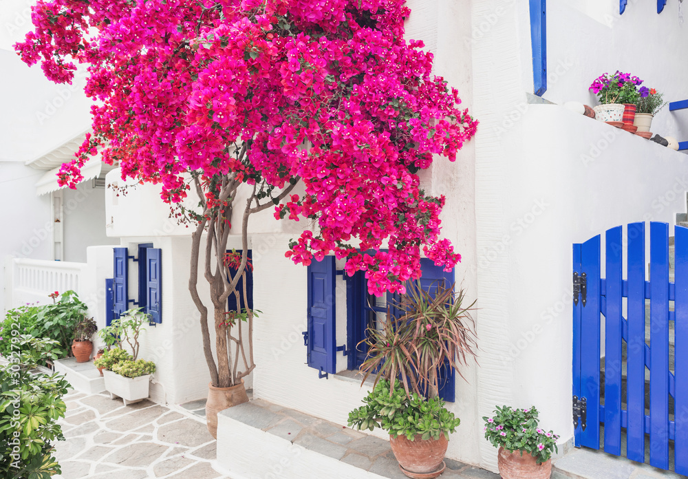 Naklejka premium Tradycyjny grecki dom z kwiatami na wyspie Paros, Cyklady, Grecja