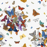 ..Butterflies. Seamless pattern. Vector vintage classic illustration. Colorful