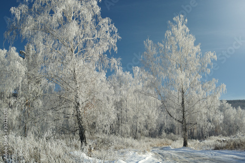 Deposits of hoarfrost on tree branches against the blue sky. Photo with high resolution and details.