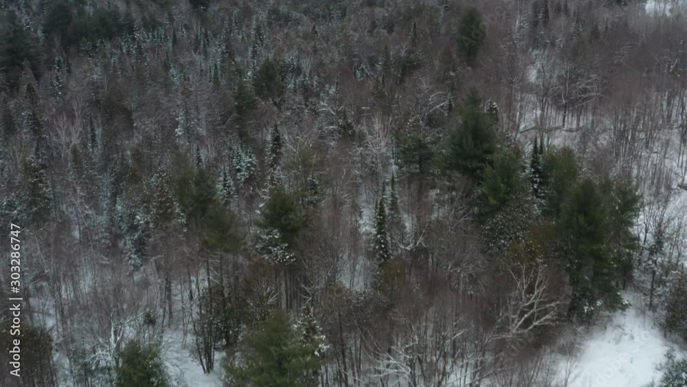 Aerial view high above snow covered winter forest 06 Aerial view high above snow covered winter forest 06