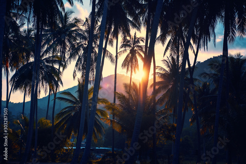 The Sun Behind Palm Trees And Mountains During A Tropical Sunset In Hawaii