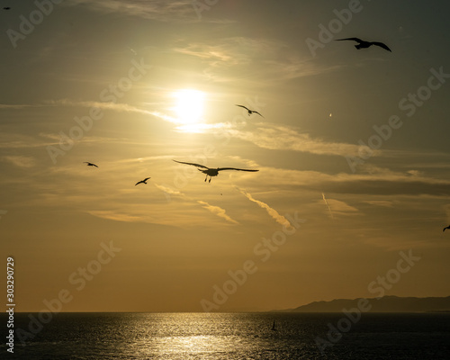 view of sunset with birds in front of the sun at Barcelona waterfront, spain