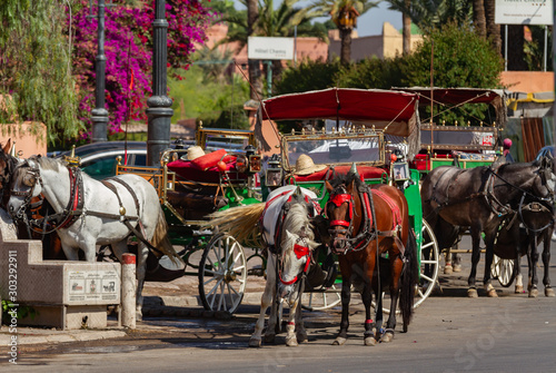 Carriages in Marrakesch, Morocco