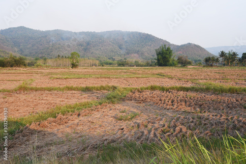a view of the barren rice field