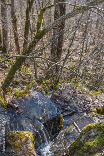 Creek and a waterfall in the woodland at spring photo