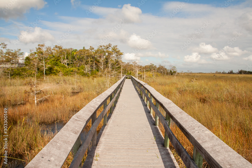 Boardwalk in den Everglades