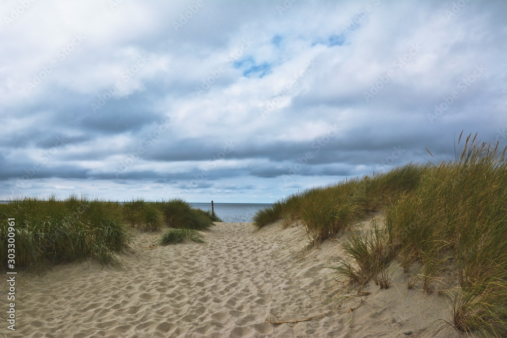 Path leading through sand dunes with grass at beach of island Texel in North Netherlands on cloudy sky day with ocean in background Path leading through sand dunes with grass at beach of island Texel in North Netherlands on cloudy sky day with ocean in background