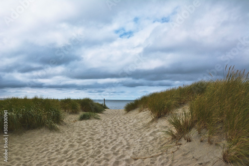 Fototapeta Naklejka Na Ścianę i Meble -  Path leading through sand dunes with grass at beach of island Texel in North Netherlands on cloudy sky day with ocean in background