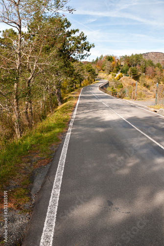 colored leaves in autumn on Bocco pass near Bocco Lake in Liguria photo