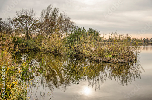 Tranquil autumn scene with a little peninsula in one of the Reeuwijke Plassen (Reeuwijk Lakes), overgrown with reeds, bushes and trees on a calm day in november photo