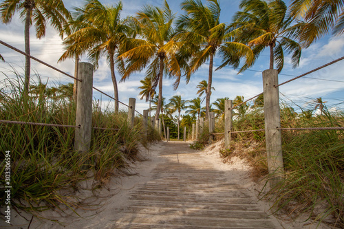 Palmen am Strand von Key West