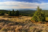 Beautiful landscape with forest and sky on mountains. Pure nature around Jeseníky - Czech Republic - Europe.