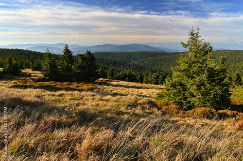 Beautiful landscape with forest and sky on mountains. Pure nature around Jeseníky - Czech Republic - Europe. © montypeter