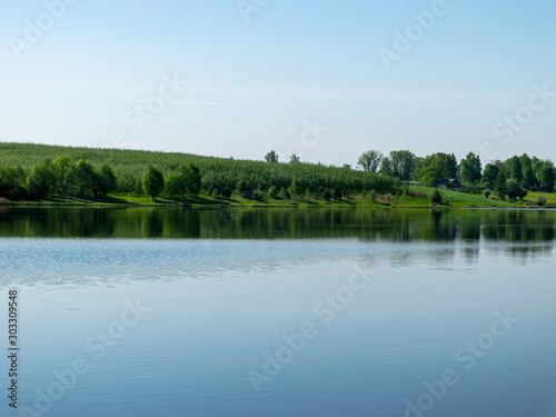 beautiful summer landscape with lake and green trees on shore. calm water and reflections