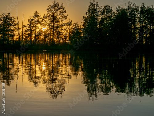 landscape with bog lake and tree silhouettes, a blurred glare in the foreground © ANDA