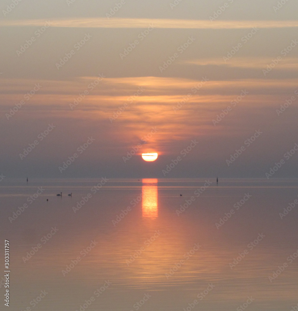 sunset skyline and seabird silhouettes sunset skyline and seabird silhouettes