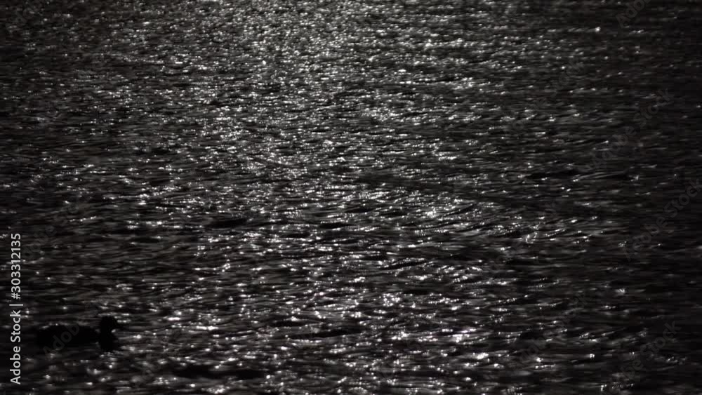 Slow motion of fluent ripple with black ducks on dark water surface. Amazing meditative background for excellent intro in hypnotic style. Liquid metal mirror with natural pattern.