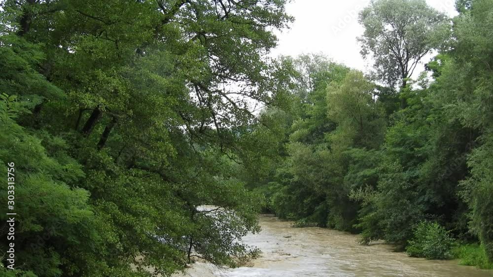 Stirred river taking its way through the trees, after a powerful storm. Muddy water in the river, flooding in summer season Stirred river taking its way through the trees, after a powerful storm. Muddy water in the river, flooding in summer season