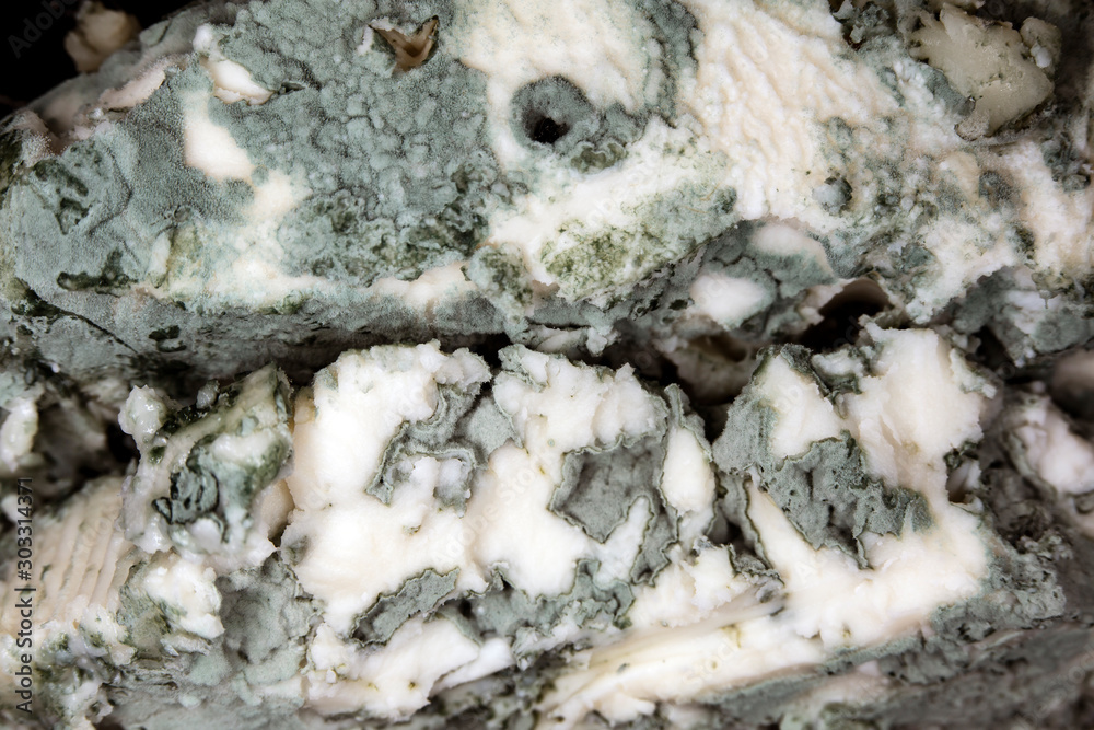 Close-up of soft blue cheese , macro shot