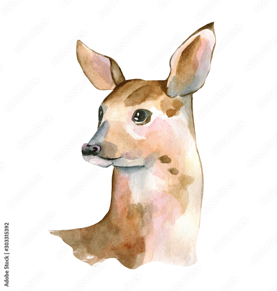 Fototapeta premium Watercolor Baby Deer Hand Painted Fawn Illustration isolated on white background