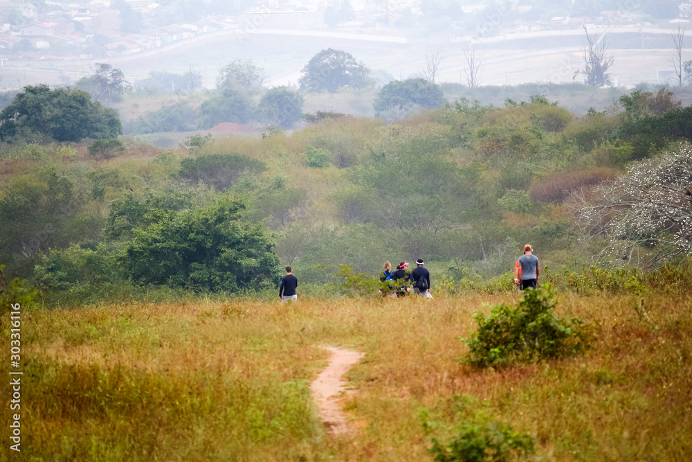 Obraz premium natureza