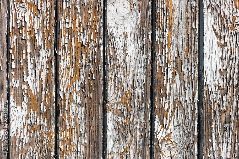 Obraz premium The white wood texture with natural patterns background