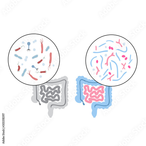 Vector illustration of human microbiota
