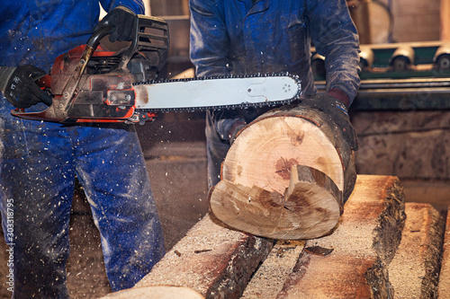 Obreros cortando troncos de madera. photo