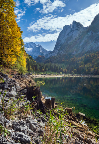 Tree stumps near Gosauseen or Vorderer Gosausee lake  Upper Austria. Colorful autumn alpine view of mountain lake with clear transparent water and reflections. Dachstein summit and glacier in far.