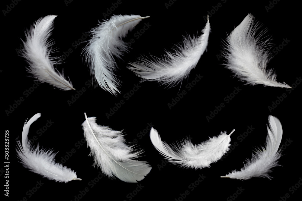 Set of white feathers isolated on black background