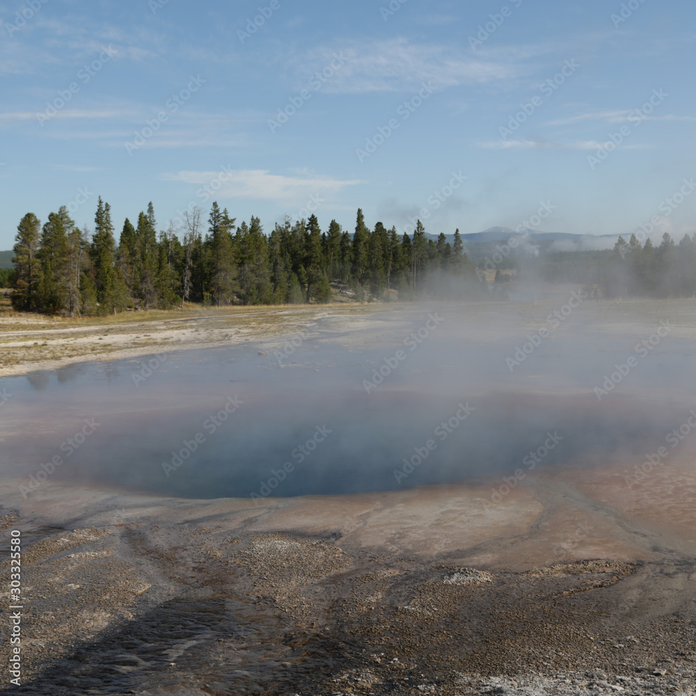 yellowstone national park the nature yellowstone national park the nature