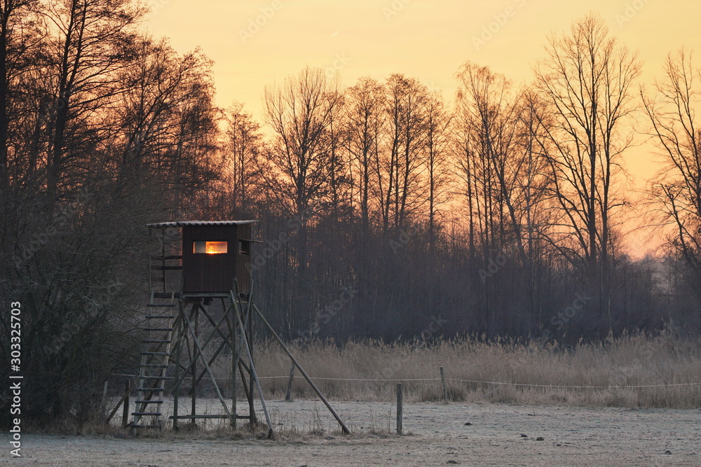 Naklejka premium Hide at sunrise in freezing weather