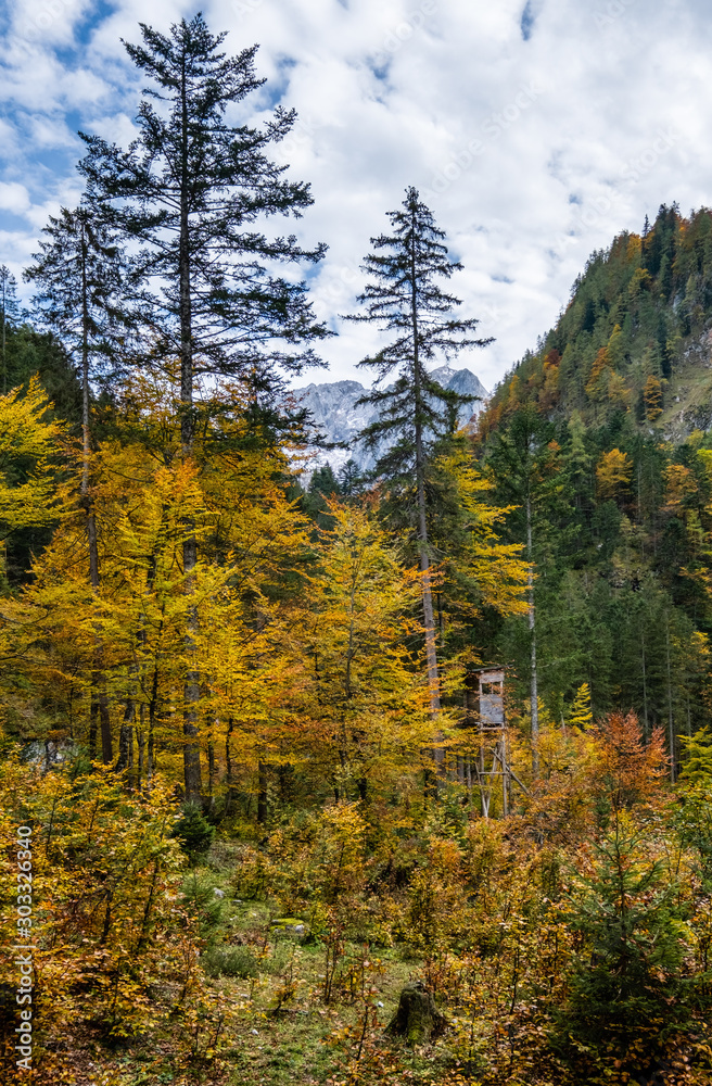 Peaceful autumn Alps mountain forest and hunting tower view. Near Gosauseen or Vorderer Gosausee lake, Upper Austria. Dachstein summit and glacier in far. Peaceful autumn Alps mountain forest and hunting tower view. Near Gosauseen or Vorderer Gosausee lake, Upper Austria. Dachstein summit and glacier in far.