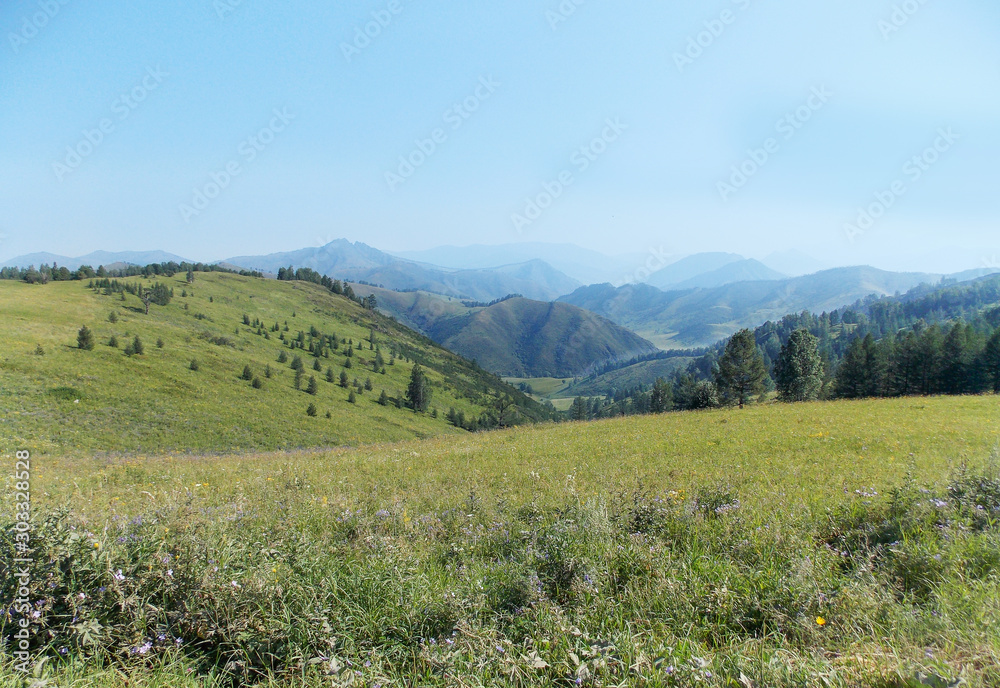 Meadow and mountain landscape view, green grass, blue sky.