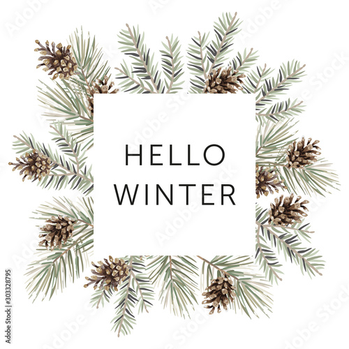 Christmas nature design square frame, text Hello Winter, white background. Green pine, fir twigs, cones. Vector illustration. Greeting card, poster template. Xmas holidays