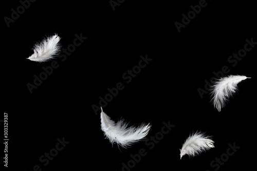 Abstract, soft white feather floating in the air, black background