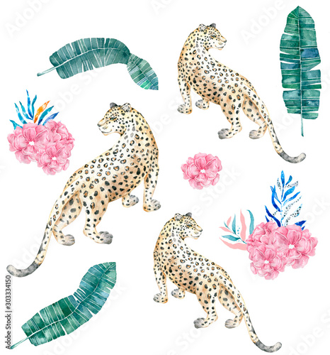 Beautiful cheetah and tropical leaves with watercolor illustration on isolated background. African animal  colorful clip art. Jungle set and pink flowers