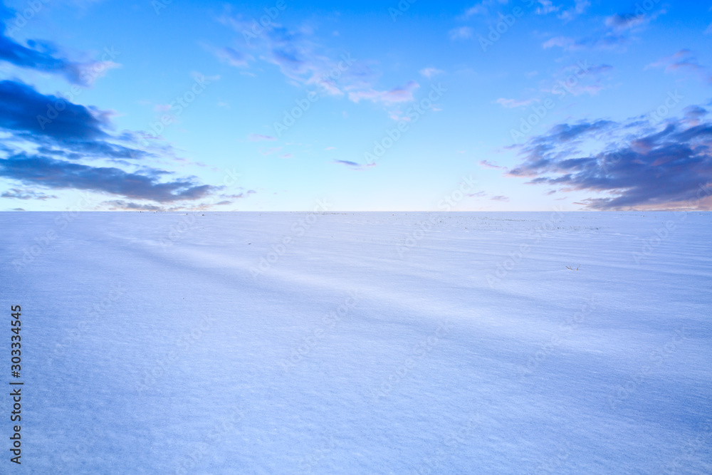Winter landscape with snow covered field on the background Winter landscape with snow covered field on the background