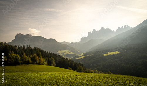 Fotografia Blick über Felder und Wälder auf die Geislerspitzen im Abendlicht, Südtirol, Ita