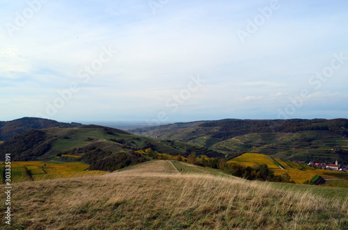 Kaiserstuhl im Herbst