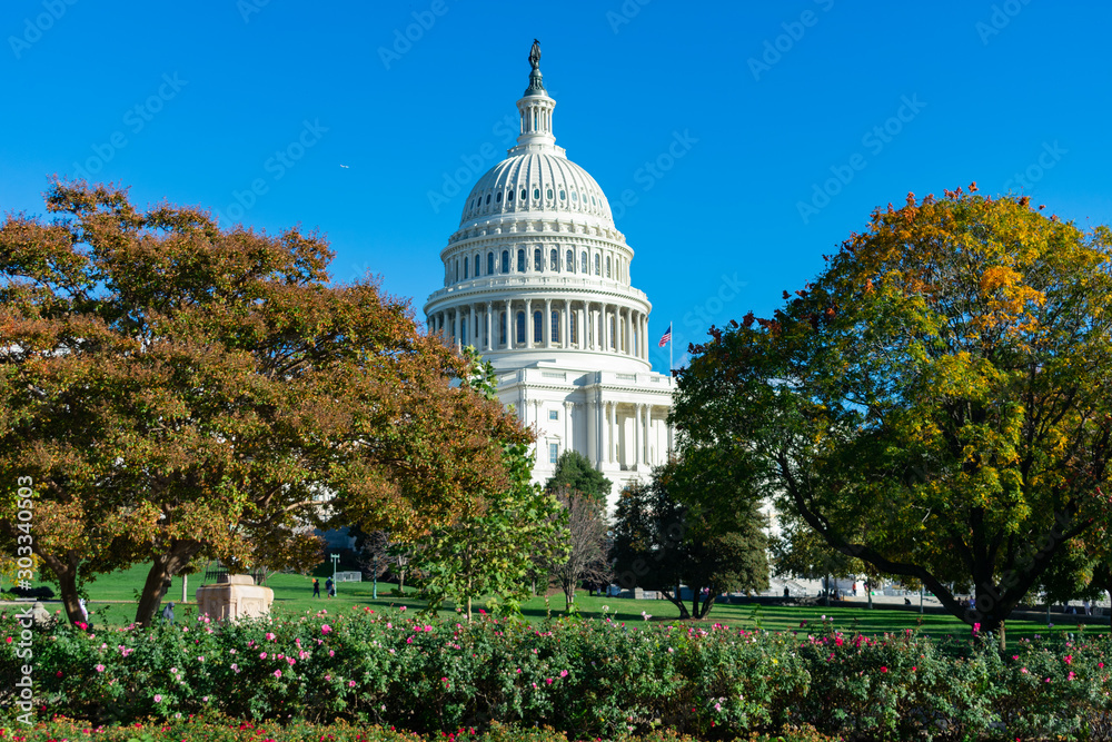 United States Capitol Building with Colorful Trees and plants during Autumn in Washington D.C.