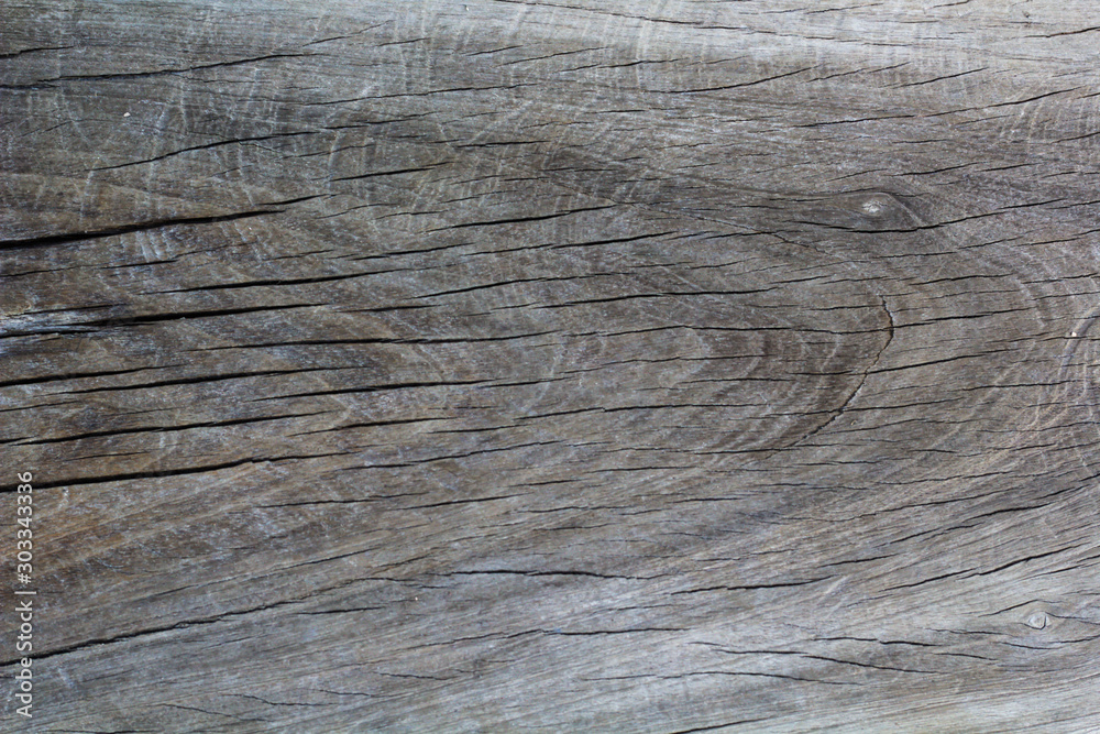 stump of tree felled - section of the trunk with annual rings