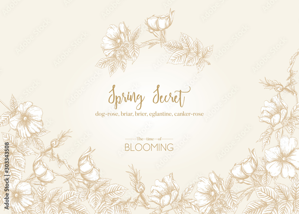 Dog-rose, briar, brier, eglantine, canker-rose. Template for wedding invitation, greeting card, banner, gift voucher. Graphic drawing, engraving style. Vector illustration in beige and white. Dog-rose, briar, brier, eglantine, canker-rose. Template for wedding invitation, greeting card, banner, gift voucher. Graphic drawing, engraving style. Vector illustration in beige and white.